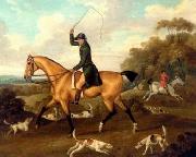 unknow artist Classical hunting fox, Equestrian and Beautiful Horses, 216. USA oil painting artist